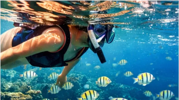 Снорклинг Снорклинг